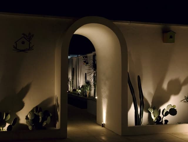 حیاط The Nest در یک شب آرام